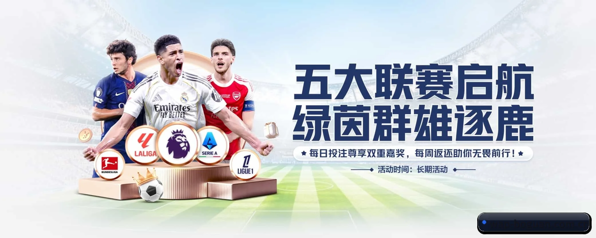 各版块垂直深入,完美契合不同运动项目偏好 - 多运动项目内容板块